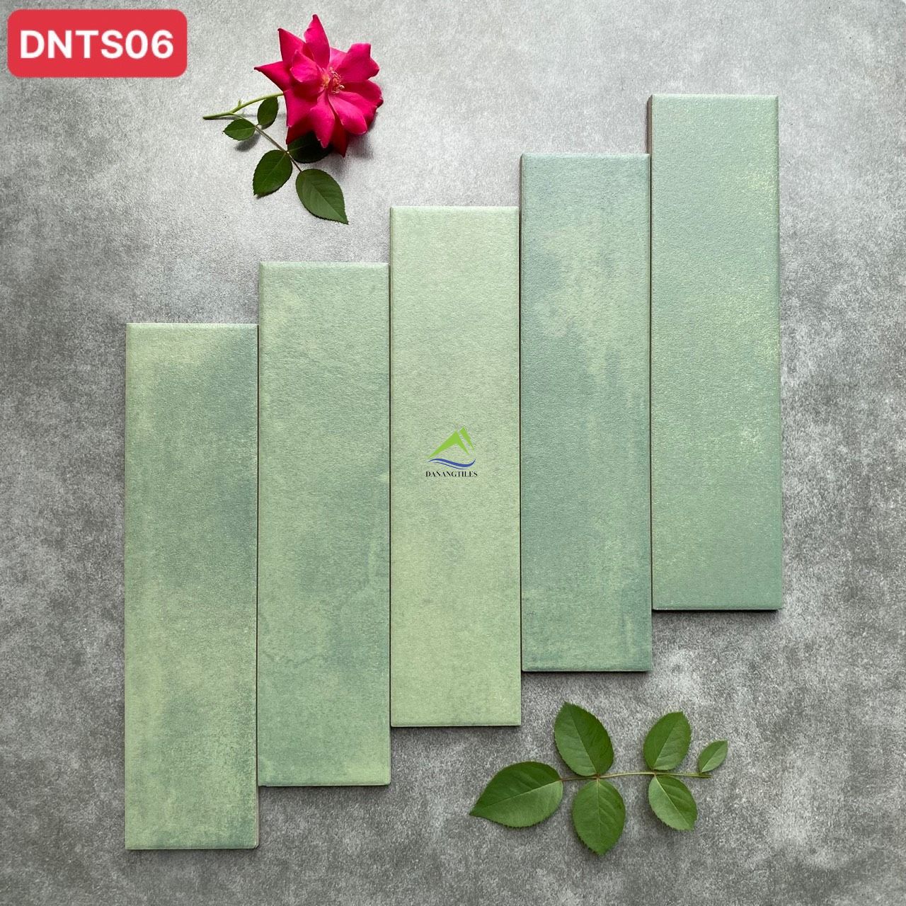 GẠCH THẺ XƯƠNG GRANITE DNTS06