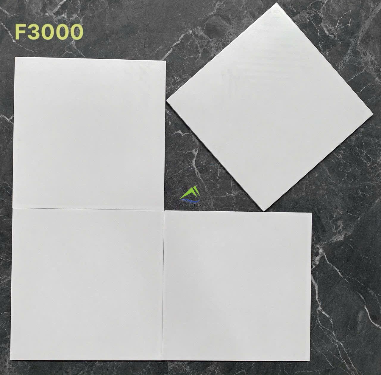 GẠCH BÔNG MEN F3000