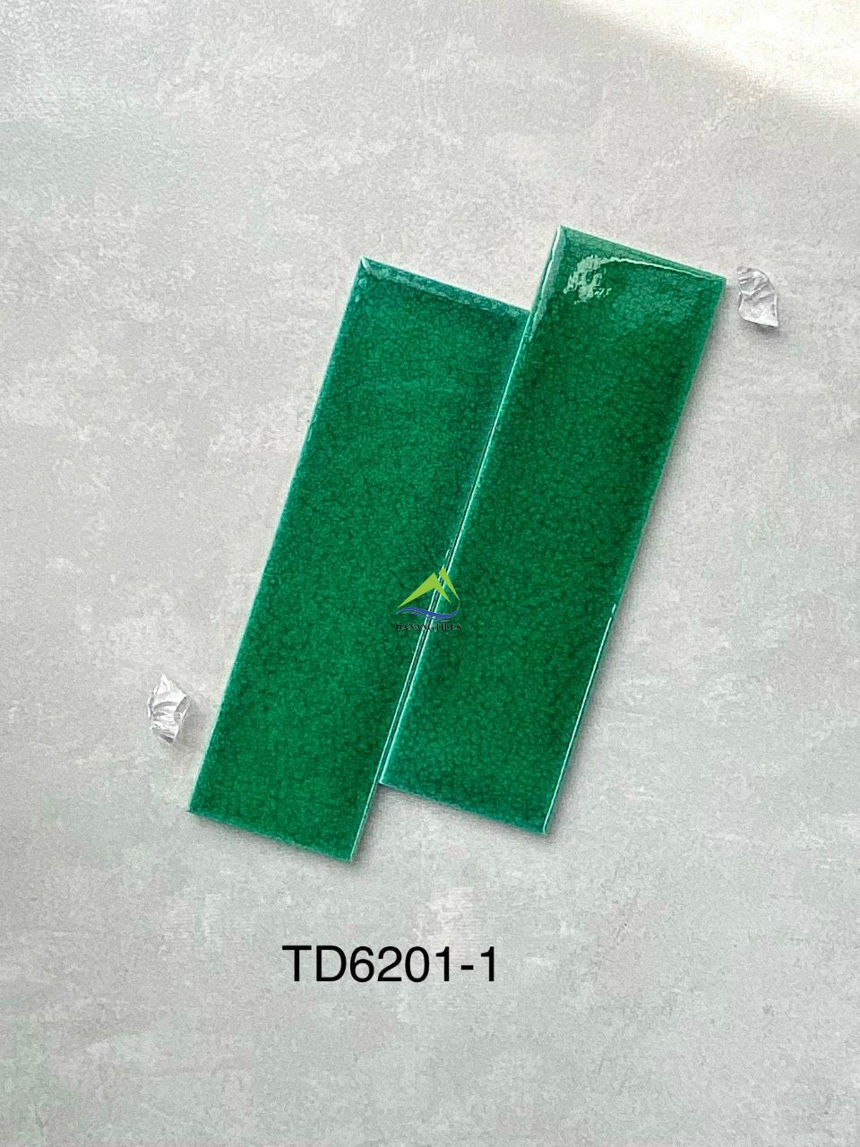 GẠCH THẺ RẠN TD6201-1