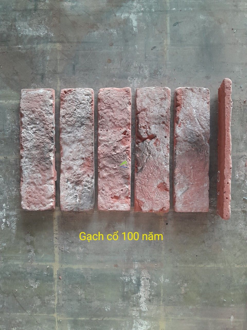 GẠCH CỔ 100 NĂM