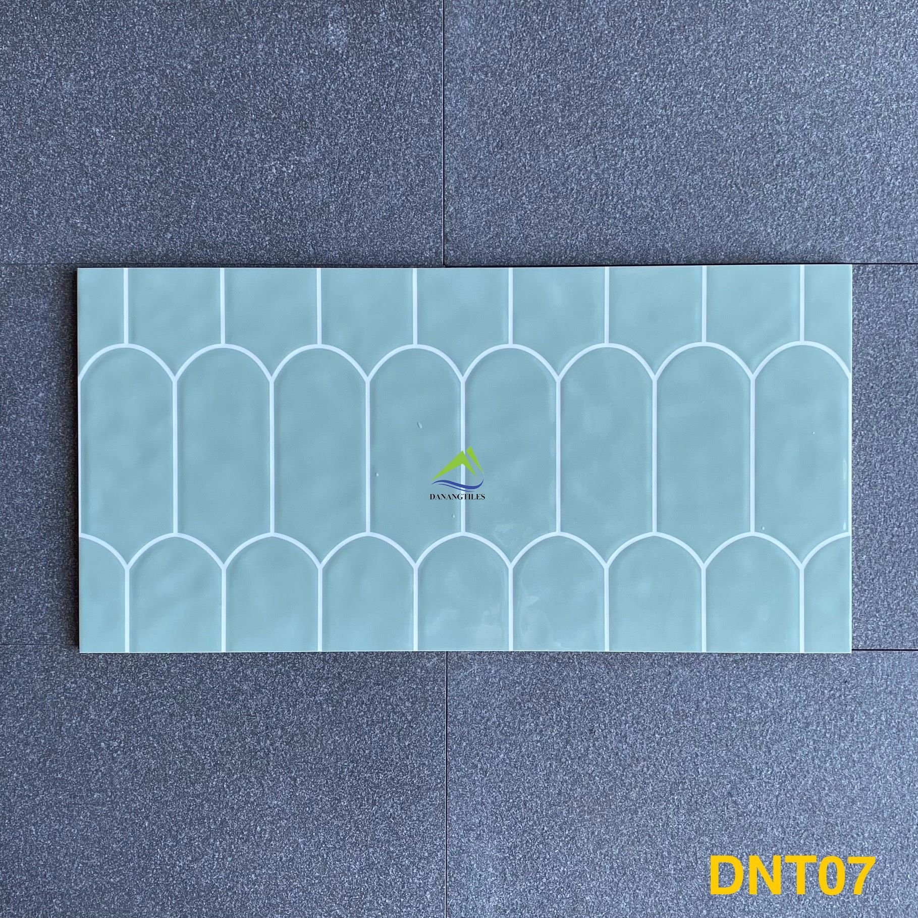 GẠCH ỐP LÁT DNT07