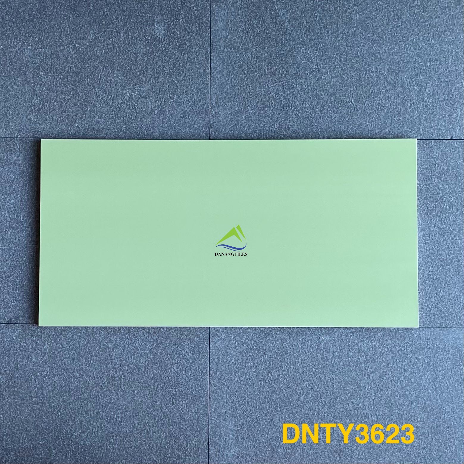 GẠCH ỐP LÁT DNTY3623