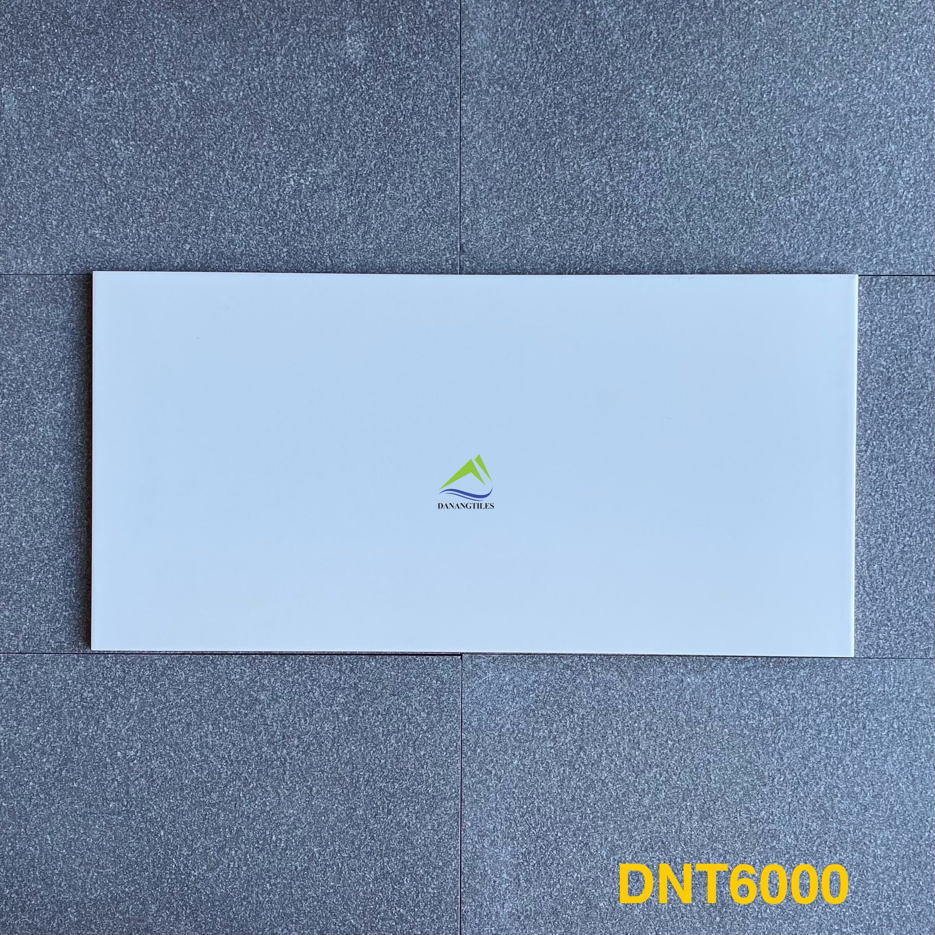 GẠCH ỐP LÁT DNT6000