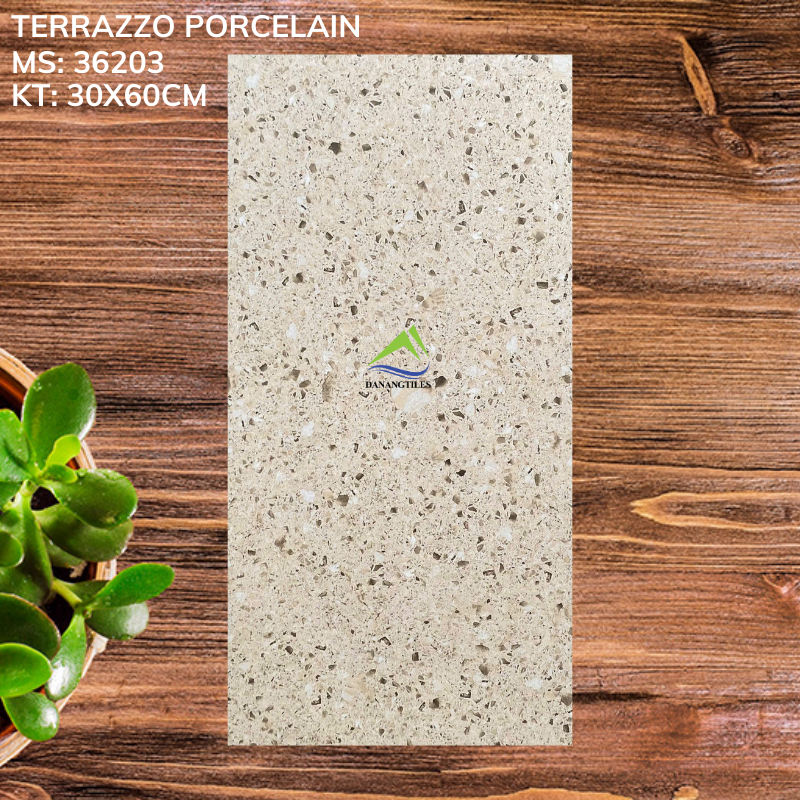GẠCH TERRAZZO 36203