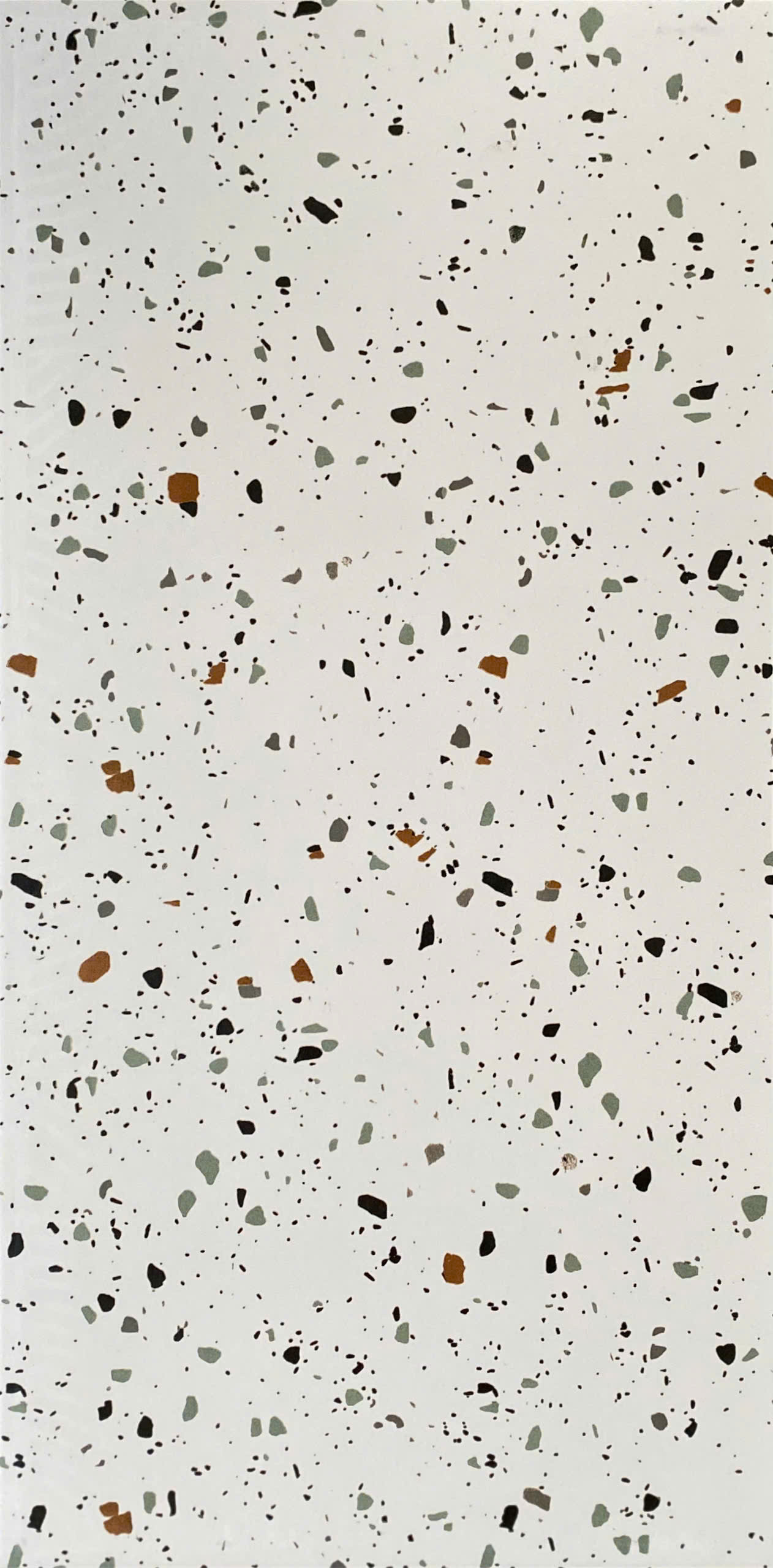 GẠCH TERRAZZO 36202
