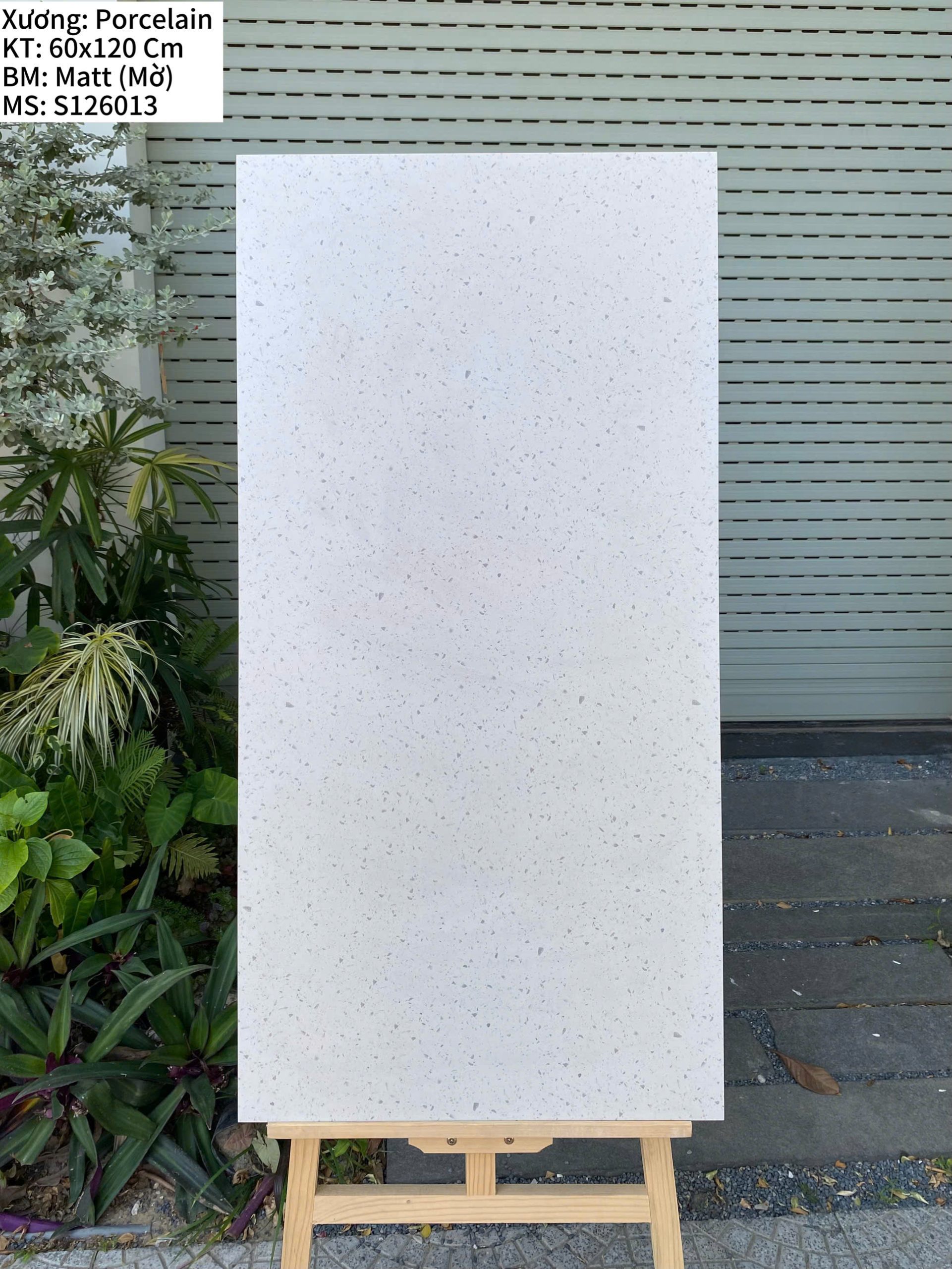 TERRAZZO S126013