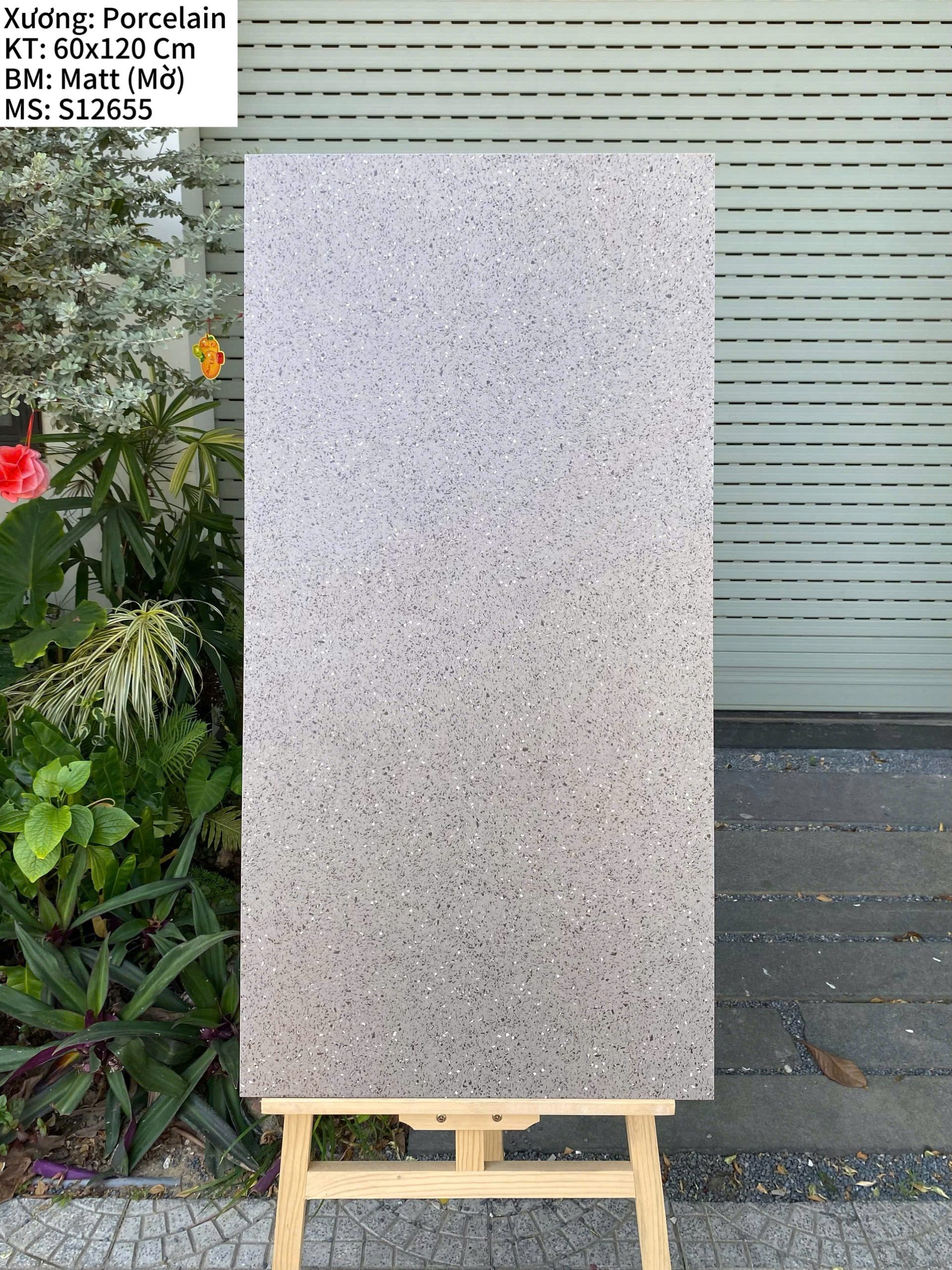 TERRAZZO S12655